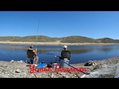 Видео: Рыбалка в устье ТАНАЛЫЧКИ.