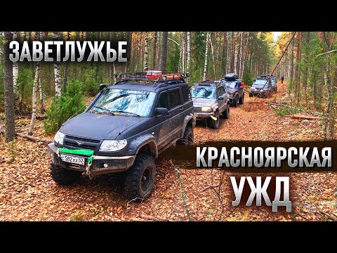 Видео: Килемарская ТАЙГА. ур. КРАСНЫЕ ПОЛЯНЫ, п. СЕВЕРНЫЙ, ур. НЕСТЕРИНО. Красноярская УЖД. Заветлужье.