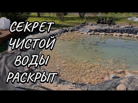 Видео: 05.07.2024 Самый простой способ ЧИСТОЙ и ПРОЗРАЧНОЙ воды в пруду!