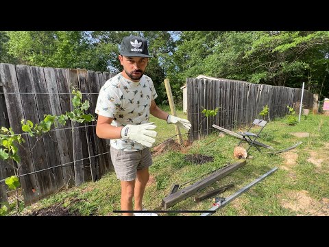 Видео: Как я восстановил деревянный забор на границе с соседом в США