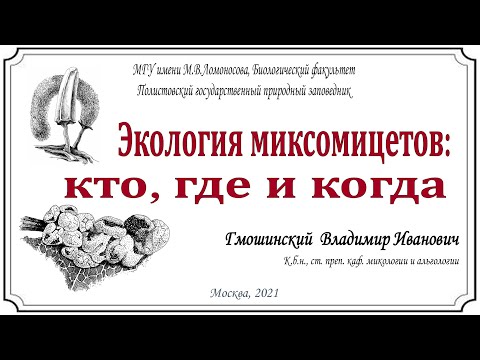 Видео: Экология миксомицетов: кто, где и когда?