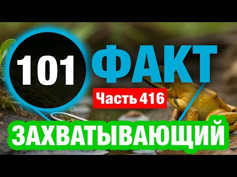 Видео: 101 Великолепный Факт Который Сделает Вас Умнее