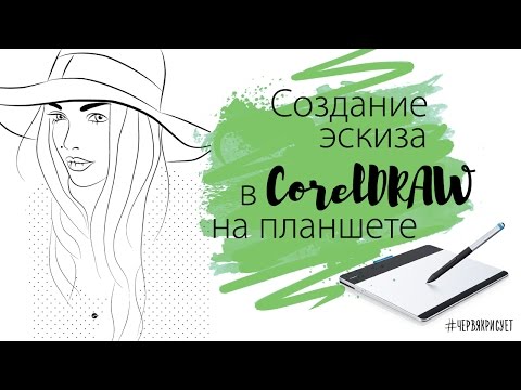 Видео: Создание эскиза векторными кистями CorelDRAW // Drawing sketch in CorelDRAW brushes