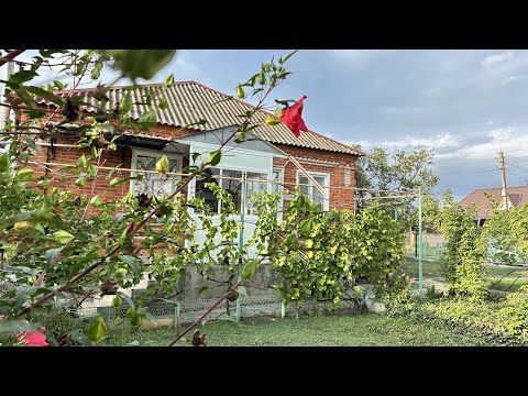 Видео: Домик в отличный бюджет в предгорье с очень вкусным виноградом