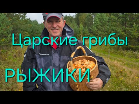 Видео: ДЕРЕВЕНСКИЕ ХЛОПОТЫ. СОЛИМ РЫЖИКИ, СОБИРАЕМ УРОЖАЙ.