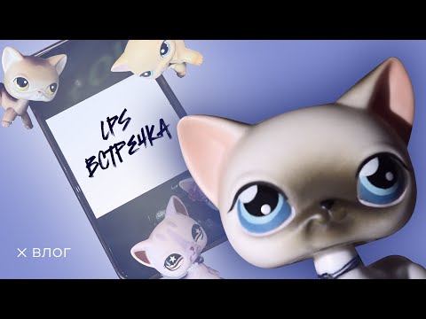 Видео: MY FIRST LPS ВСТРЕЧКА | или просто угораем на протяжении видео |