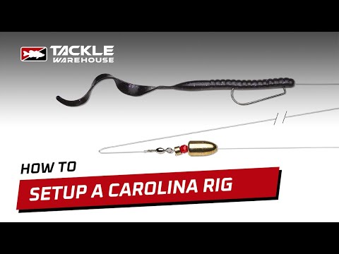 Видео: Как оснастить каролинский оснасткой