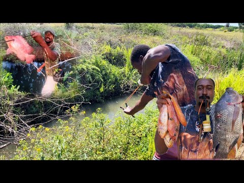 Видео: Подводная охота с рогаткой вдоль травянистого ручья