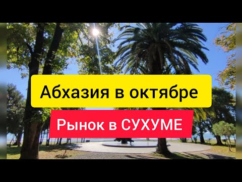 Видео: Какие фрукты в Абхазии в октябре. Цены на рынке 😱😱😱. Погода в Абхазии в октябре.