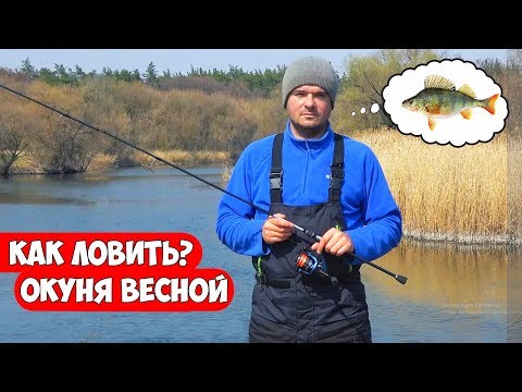 Видео: Как ловить ОКУНЯ ВЕСНОЙ - типы снастей и проводки на спиннинг