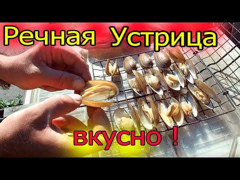 Видео: РЕЧНАЯ  " УСТРИЦА " ! ГОТОВИМ ПРОСТО И ВКУСНО !