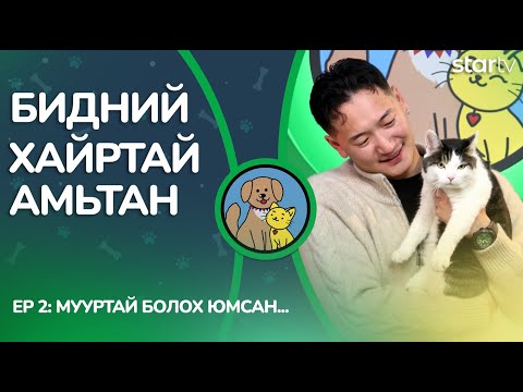 Видео: "Бидний хайртай амьтан" | Мууртай болох юмсан ...