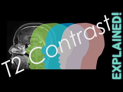 Видео: ОБЪЯСНЕНИЕ Т2-КОНТРАСТА В МРТ | Лекция 5 по курсу физики МРТ
