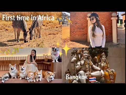 Видео: Дневник стюардессы | первый раз в Африке | лэйовер в Бангкоке