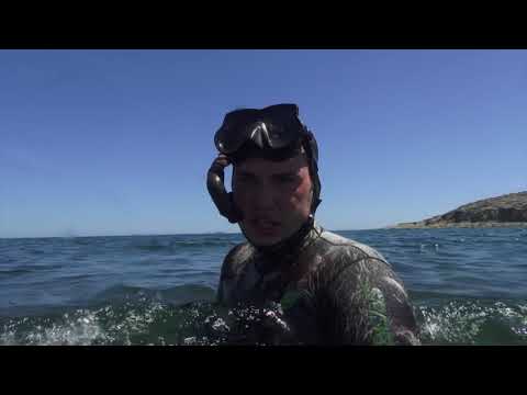 Видео: Подводная охота на Каспии. Азербайджан часть четвертая Встреча с ветеранами