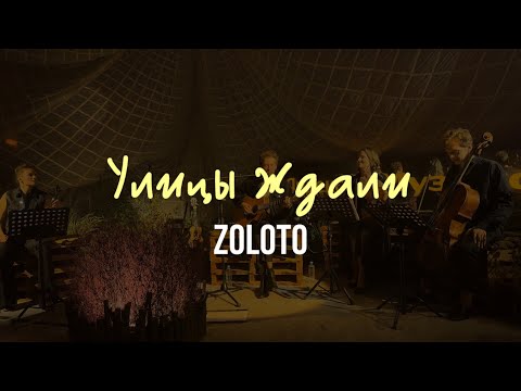 Видео: ZOLOTO – Улицы ждали (акустика с оркестром @ Парк Горького, 04.07.2024)
