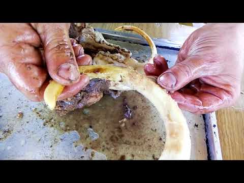 Видео: ТРОФЕЙ ОХОТНИКА - клыки дикого кабана