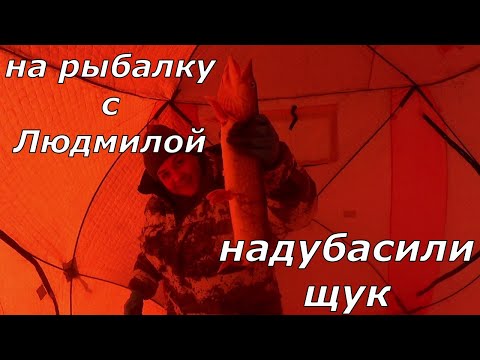 Видео: РЫБАЛКА 2024-2025. Надубасили щук .