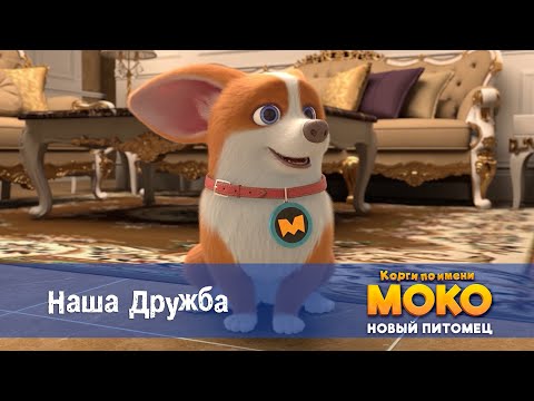 Видео: Корги по имени Моко. Новый питомец - Серия 19.Наша дружба - Премьера мультфильма
