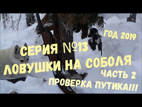 Видео: СЕРИЯ № 13. Проверка ловушек на соболя! СИБИРЬ! СНЕГА! ТАЙГА!