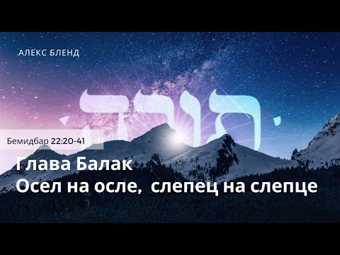 Видео: Недельная глава Балак. Осел на осле, слепец на слепце. Бемидбар 22:20-41