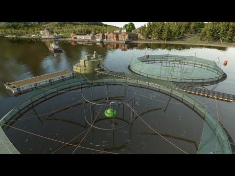 Видео: ферма 25  соснова проверяем рыбалку