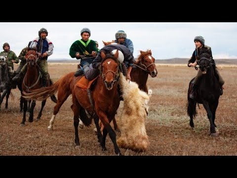 Видео: Тамда ауданы  Қаламбай агамыз кокпар тойы 1 бөлім