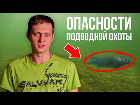 Видео: ОПАСНОСТИ, КОТОРЫЕ НАС ПОДЖИДАЮТ! Техника безопасности на подводной охоте — Часть 2