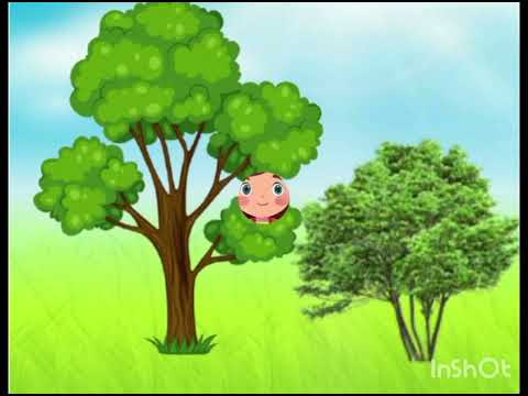 Видео: Заняття з ознайомлення із природним довкіллям.Тема:Дерева,кущі.