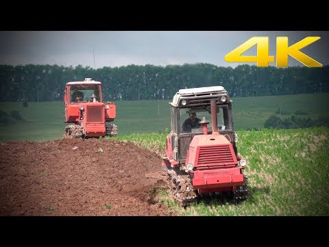 Видео: Вспашка поля гусеничными тракторами ВТ-100 и ДТ-75 - как в старые добрые времена