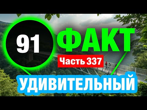 Видео: 91 Захватывающий Факт В Который Вы Не Поверите
