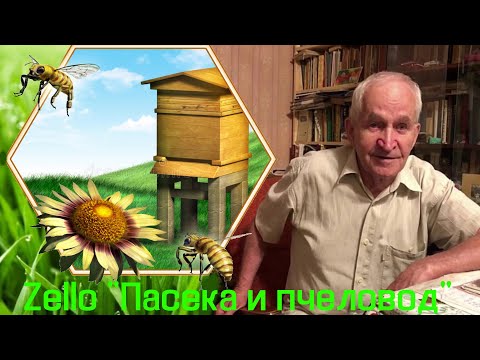 Видео: Кашковский В. Г. на Zello "Пасека и пчеловод" 23/12/2021.