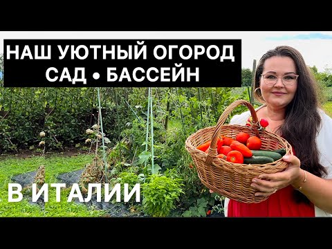Видео: 🇮🇹 Домашний влог | ставим бассейн ,наш сад, покупки для сада ,домашние питомцы, сажаю цветы.