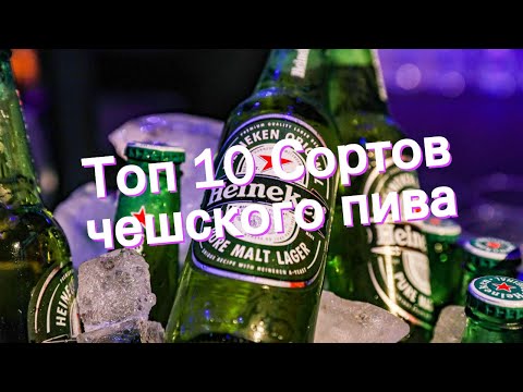 Видео: Топ 10 Сортов чешского пива