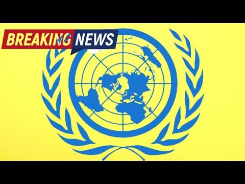 Видео: Вы против международных законов?  /ООН устав ст. 39, 41, 42