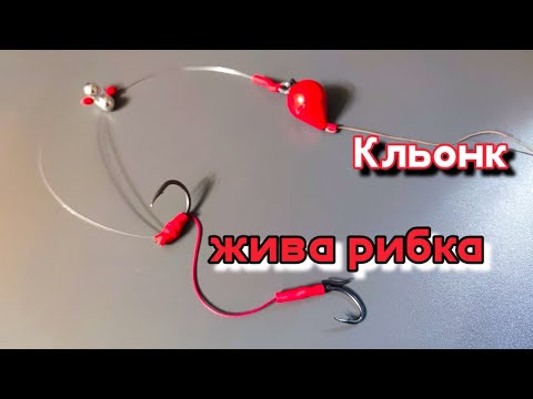 Видео: Монтаж за трофейни сомове на кльонк.