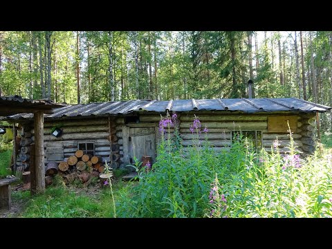 Видео: Путешествие на Ямозеро Ч7. Сплав по реке Ирва. Лесная изба. Охотничье зимовье. Один в глухой тайге