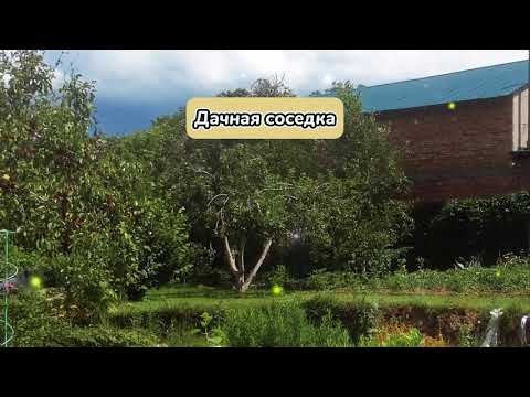 Видео: ДАЧНАЯ СОСЕДКА