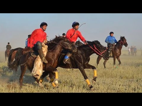 Видео: Егіз палуандар Шабандоздармен сұқбат Бекболат палуан - Ерболат палуан