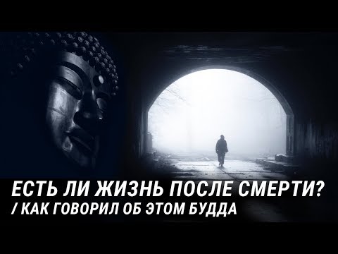 Видео: Есть ли жизнь после смерти? Существует ли реинкарнация? Есть ли рай и ад. Буддизм и Реинкарнация