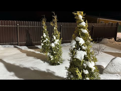 Видео: Уютное дачное видео. Топим печь-камин. Конец декабря.