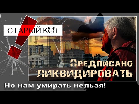 Видео: Уникальный проект спасения травмированных котов под угрозой исчезновения!