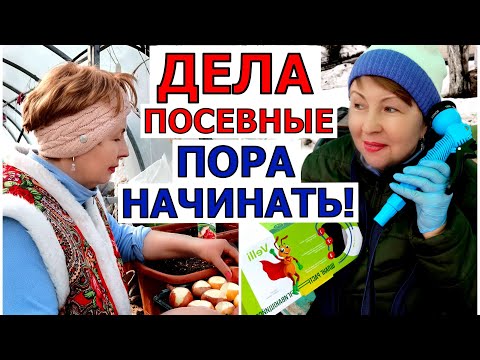 Видео: Открыла огородный сезон, руки просят землю. Проверенная покупка для сада