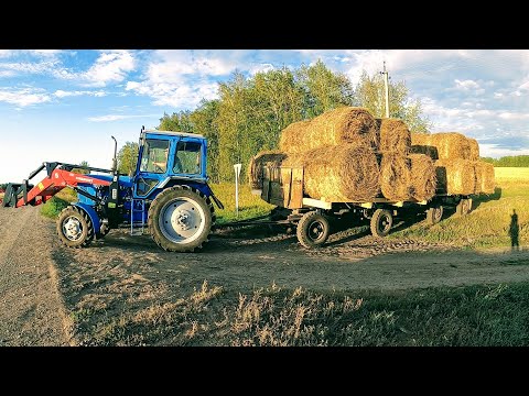 Видео: Вывозим сено по новому. Трактор МТЗ-82. 26 рулонов за раз и это не предел!!!