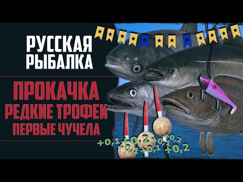 Видео: Новый Путь в РР4 #17 🔴 Первые Редкие Чучела | Трофейные Синяки | Фарм Серебра | Прокачка Поплавка