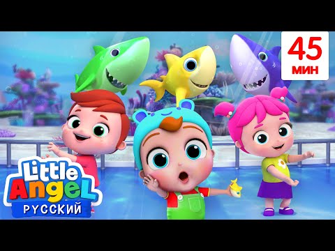 Видео: Танец с Акулятами 🦈🦈 | Развивающие Мультики Для Детей | Little Angel Русский