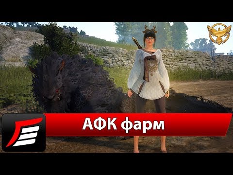 Видео: Black Desert – Как фармить афк? | Гайды Black Desert