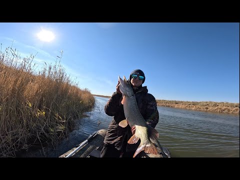 Видео: СНОВА ТРОФЕЙНАЯ ЩУКА 10КГ НА ЗАКРЫТИИ СЕЗОНА