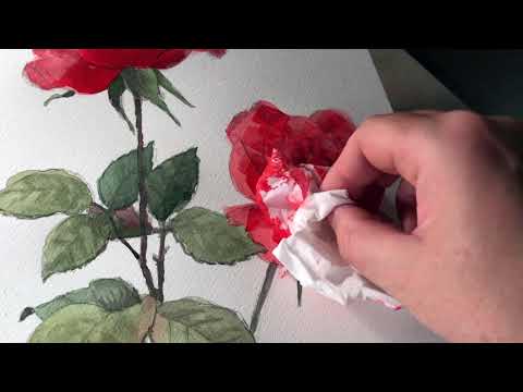 Видео: Акварель - Роза - Часть 2