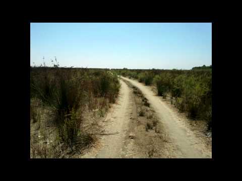 Видео: П 13 feat Kontrafakt   Правда   боль